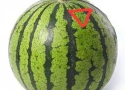 娱乐吃瓜君折耳