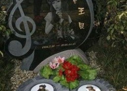 明星墓地图片大全