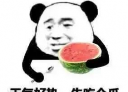 离谱副业娱乐吃瓜酱,娱乐吃瓜酱带你领略副业界的趣味与疯狂